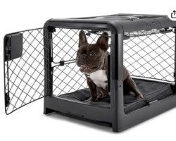 <strong>Diggs Revol Dog Crate </strong>
<br/>Charcoal Small for Minis 28"L x 20"W x 21"H
